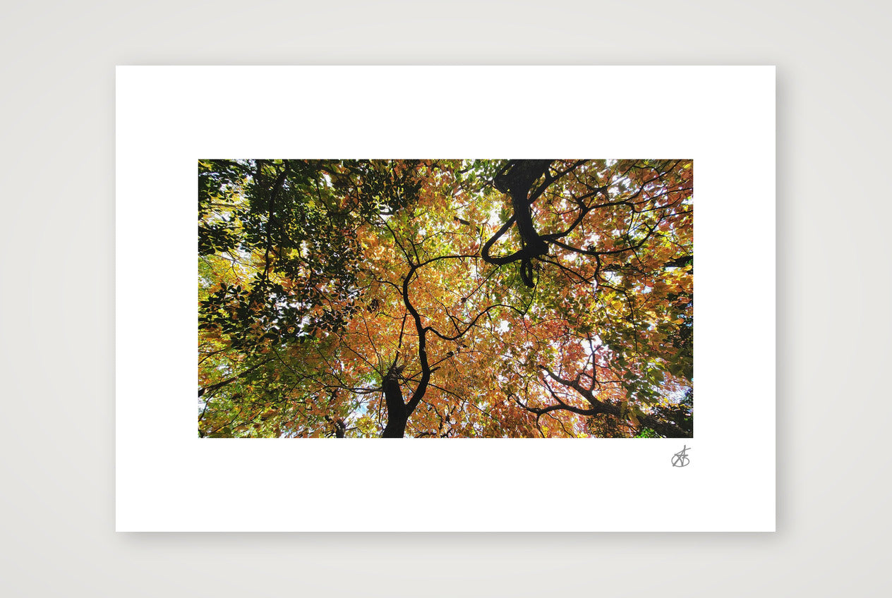 Airways — A4 (30×21cm, 12×8") Print only