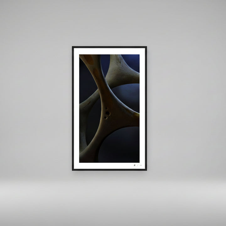 Abstract geometric photographic artwork featuring intersecting circular forms and layered negative space, emphasizing convergence and spatial balance.