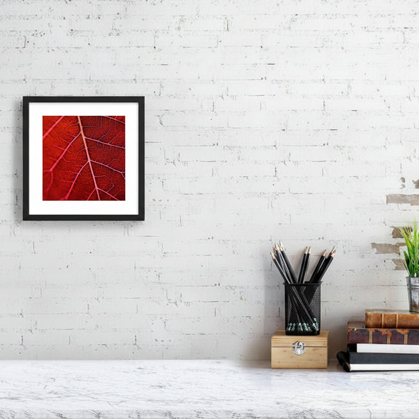square abstract botanical wall art print in red tones with high contrast and dense structure, contemporary fine art for interior design