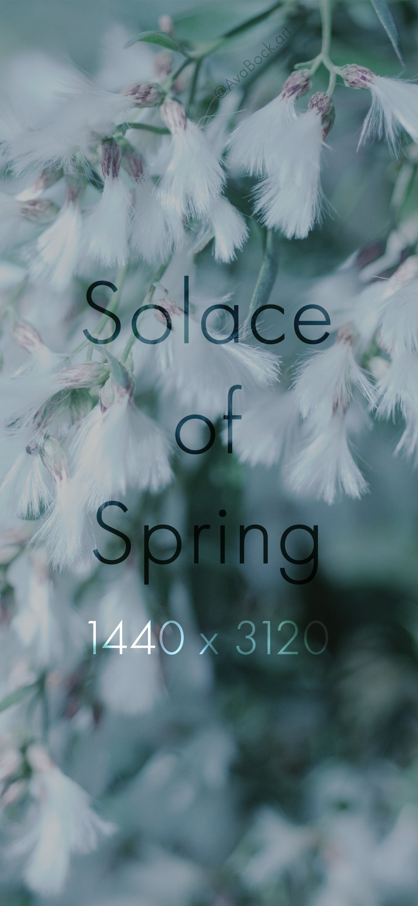 Solace of Spring