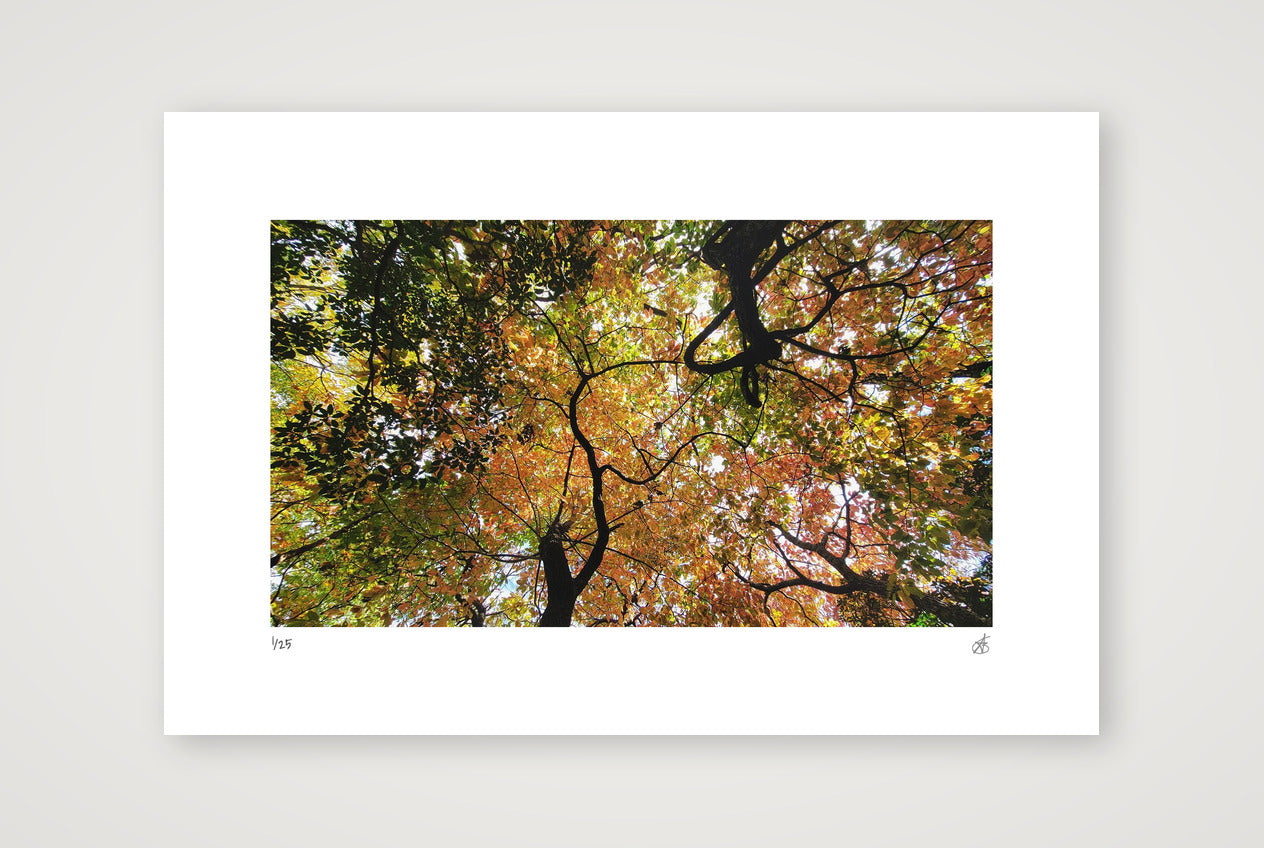 Airways — 45×30cm, 18×12" Print only