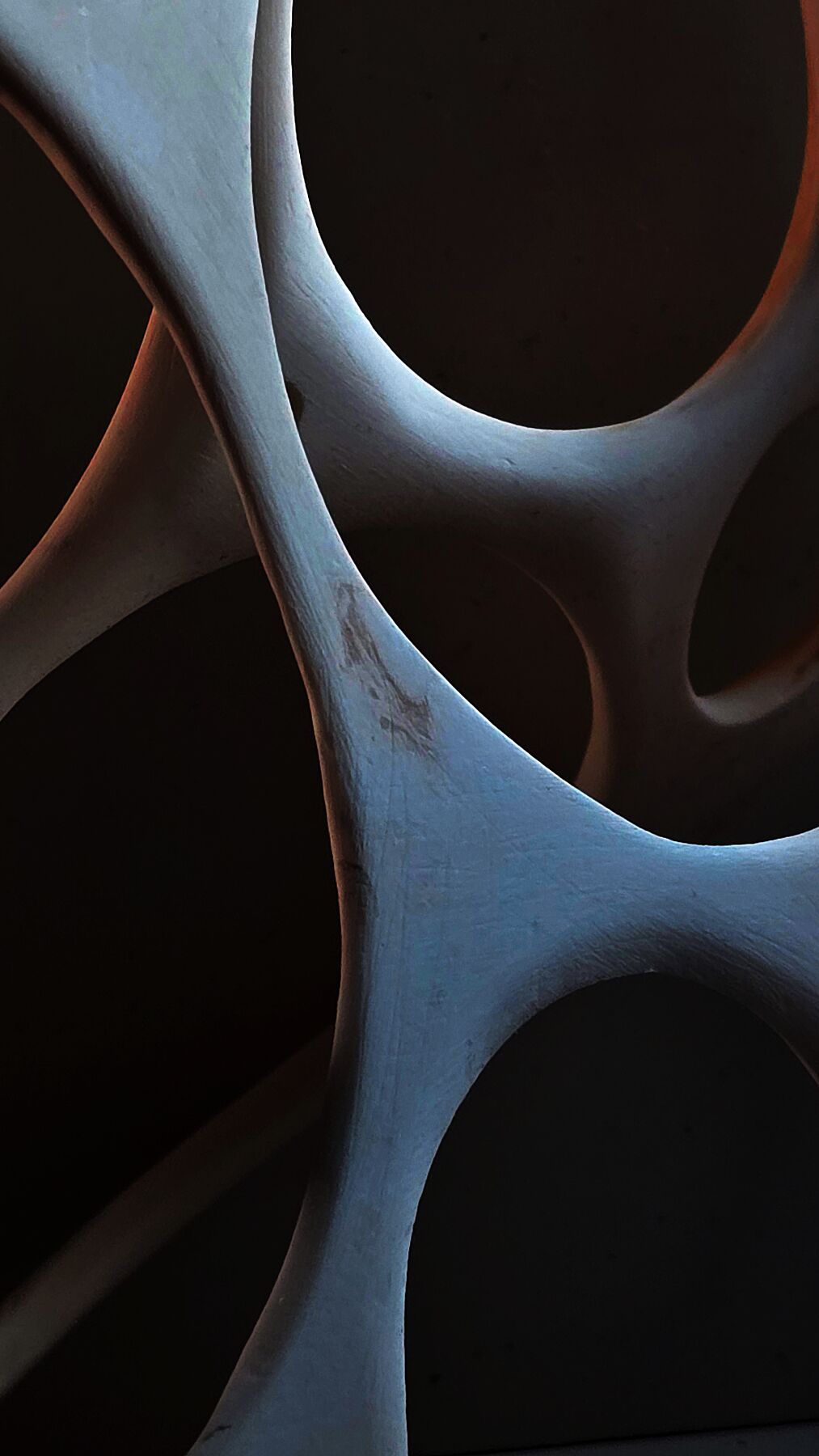 Abstract geometric photographic print with intersecting circular forms