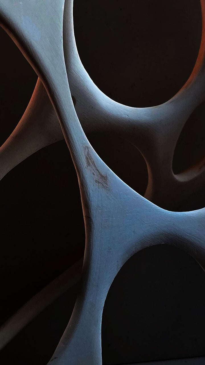 Abstract geometric photographic print with intersecting circular forms