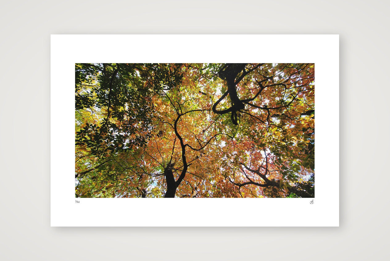 Airways — 60×40cm, 24×16" Print only