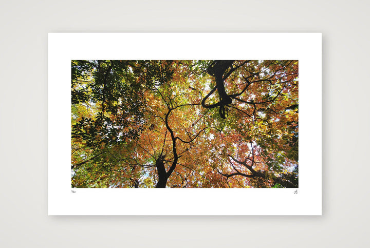 Airways — 60×40cm, 24×16" Print only