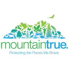 MountainTrue logo green to blue color transition on white background
